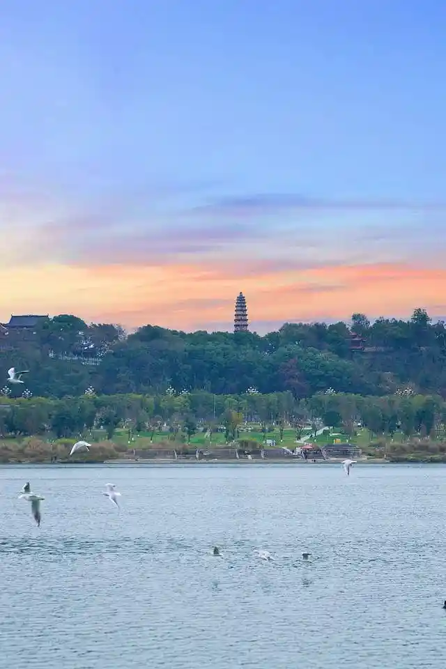 南充秘境曝光!这份攻略带你解锁嘉陵江畔绝美风景