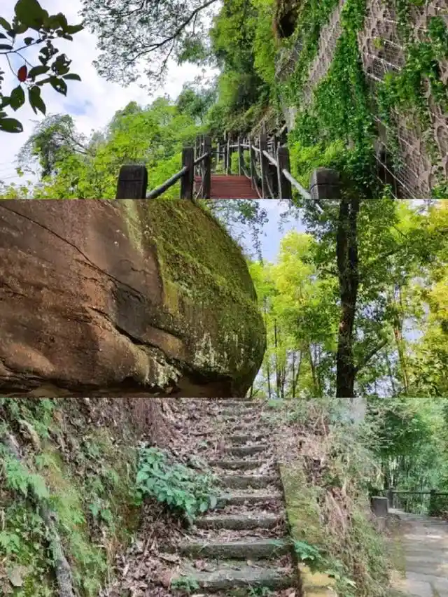 南充秘境曝光!这份攻略带你解锁嘉陵江畔绝美打卡地