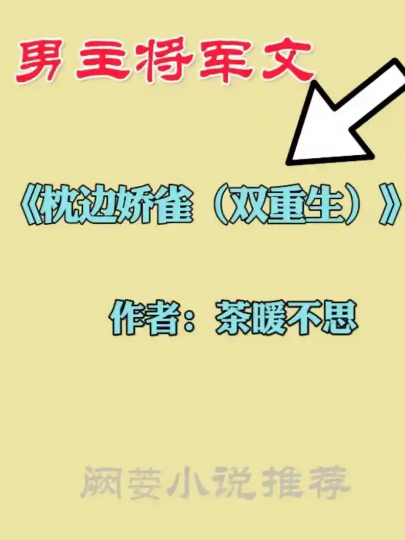 他为她折腰:11本将军男主甜宠文,权谋与深情的极致碰撞