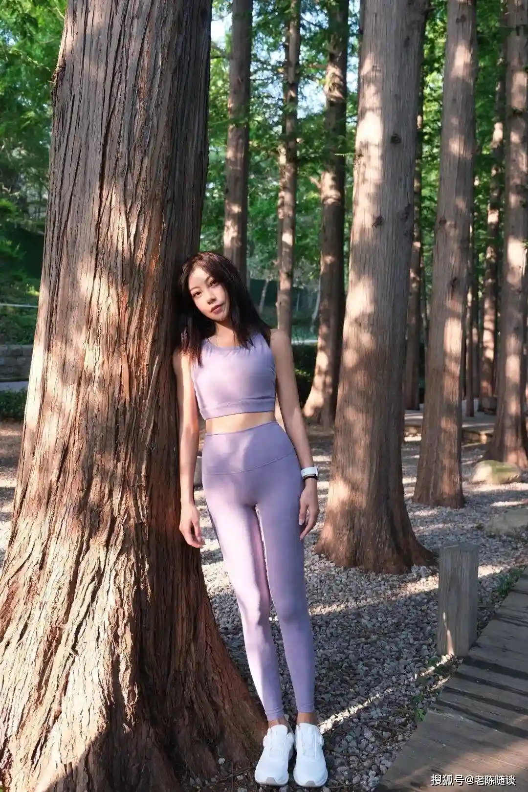 自然韵律中的瑜伽之美:与大地共呼吸的焕新体验