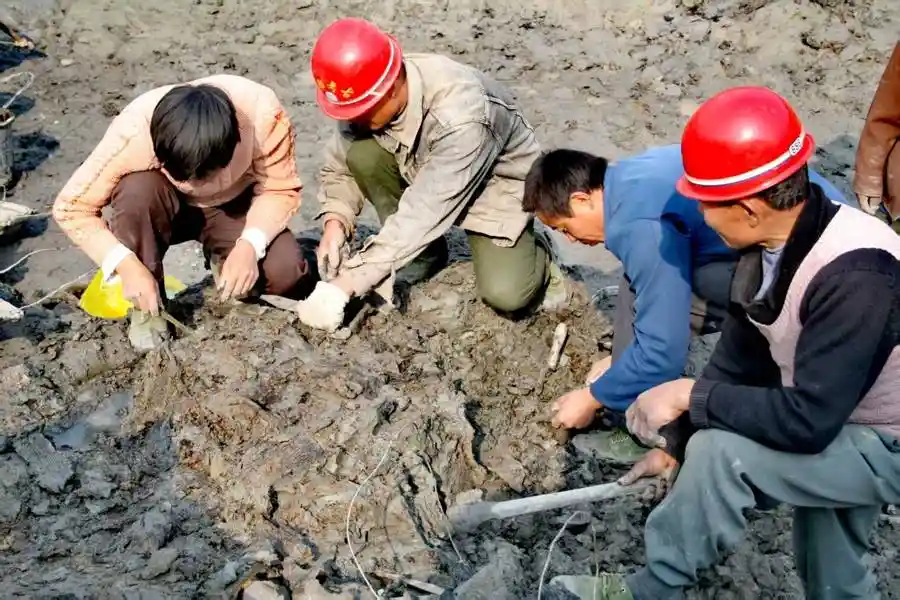 《里耶秘境:一卷秦简揭开千年帝国密码》