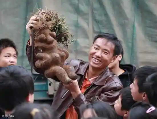 肠道重启术:一招让便秘彻底告别,排便顺畅如初体验