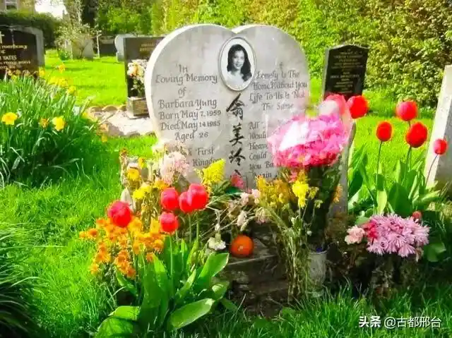 翁美玲:世间始终你好,美得不可方物