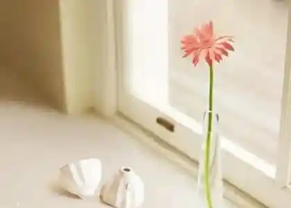 女性身材密码：体重与腰围的黄金比例揭秘